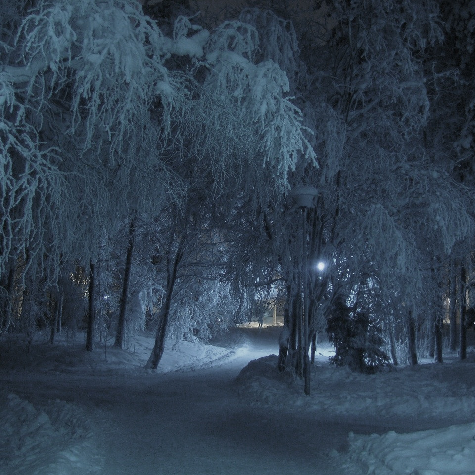 A Winter Night